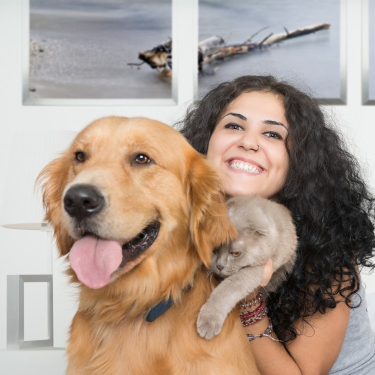 Pet waste removal services in Pierce County, WA