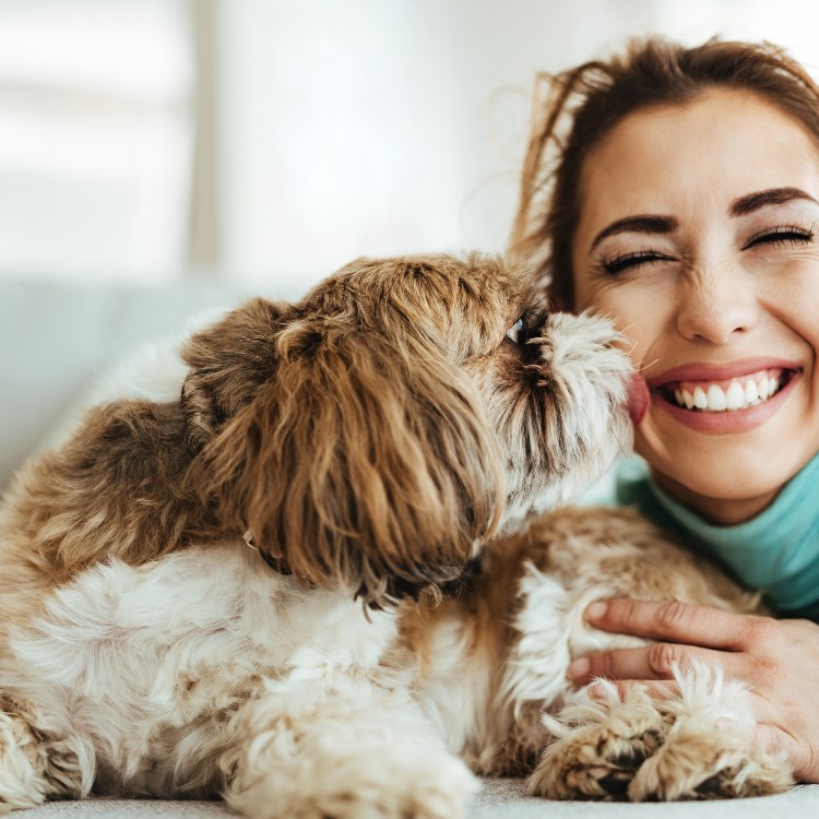 Pet waste removal services in Pierce County, WA